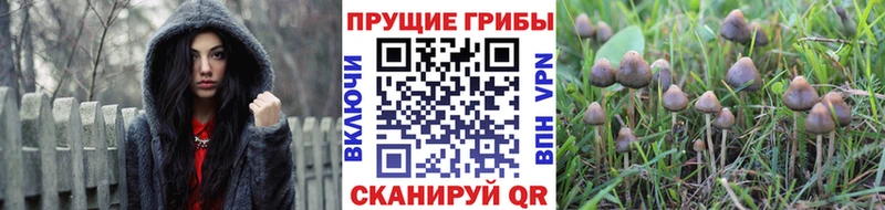 Галлюциногенные грибы мицелий  Яблоновский 